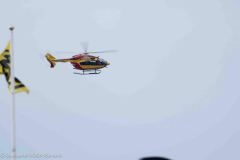 Falcon-50