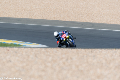LeMans24H-490