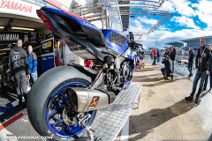 PITWALK-21