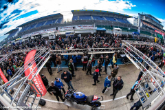 PITWALK-91