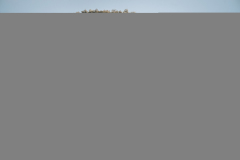 09052025-_DSC9397